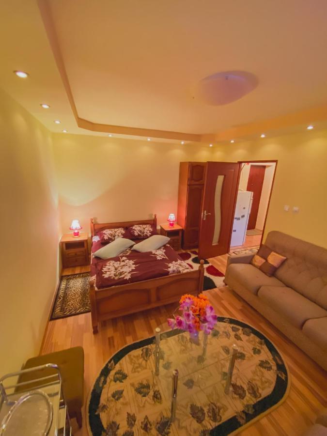 Apartament Cristian Geoagiu Băi Exterior foto