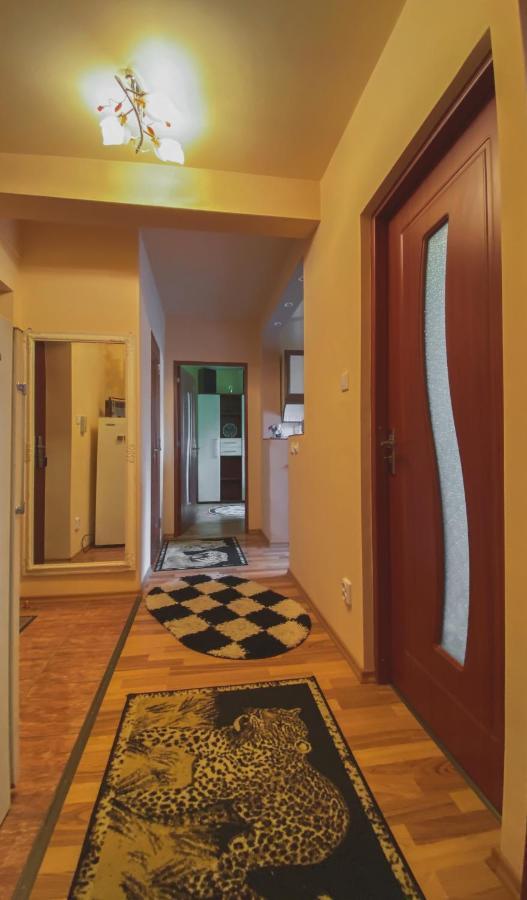 Apartament Cristian Geoagiu Băi Exterior foto